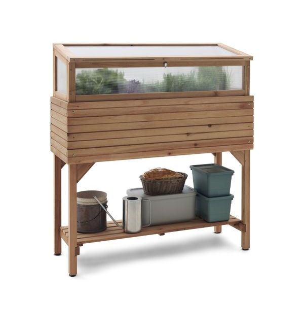 glockenblume blumenkasten 3er Box Weie Glockenblumen  Green Me Up