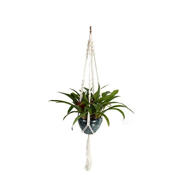 Indoor Garden: Warum wir Planzen jetzt lieber aufhngen